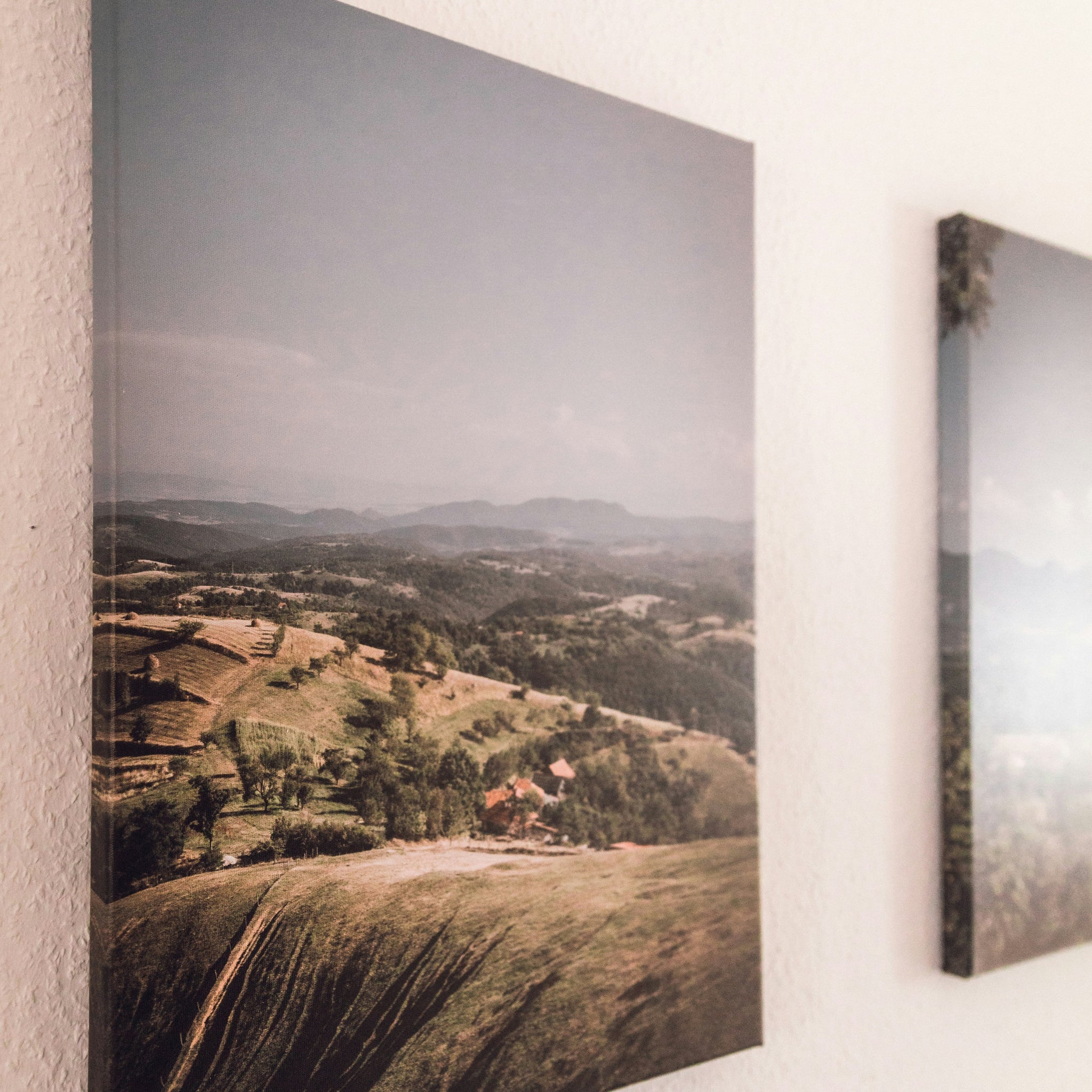3 Panel Canvas