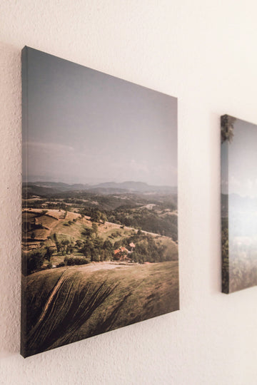 3 Panel Canvas